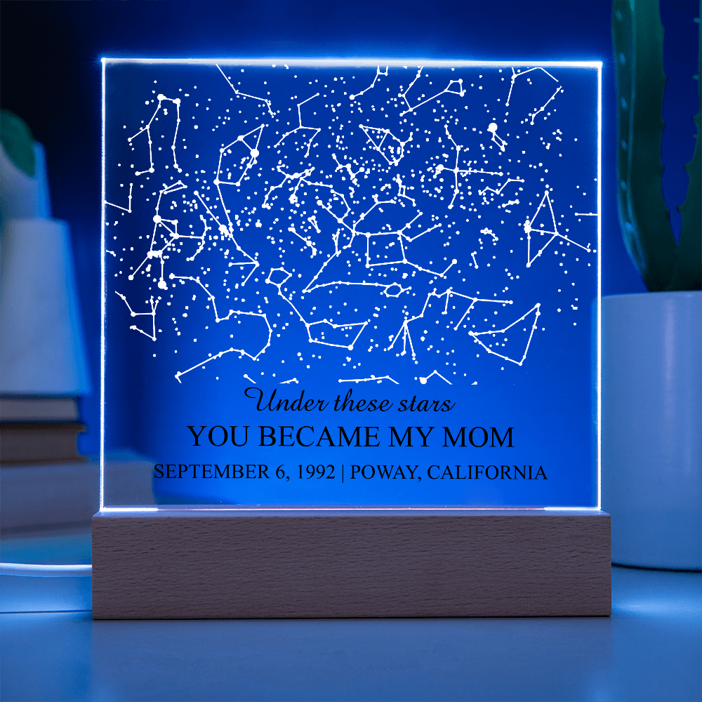 Ho_plaque 3