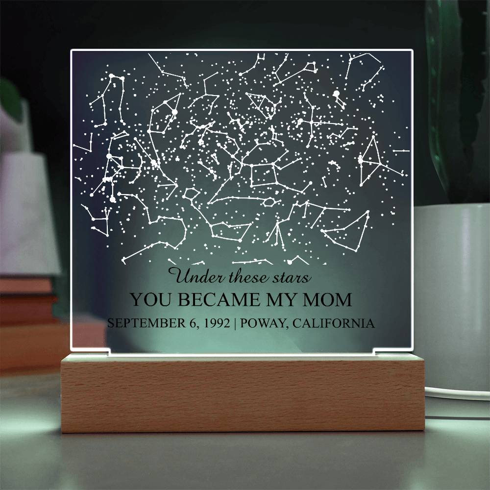 Ho_plaque 3