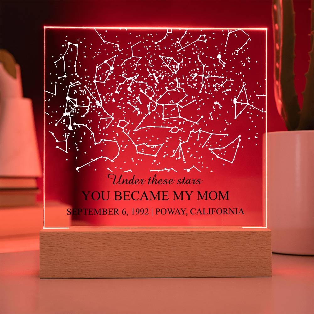 Ho_plaque 3