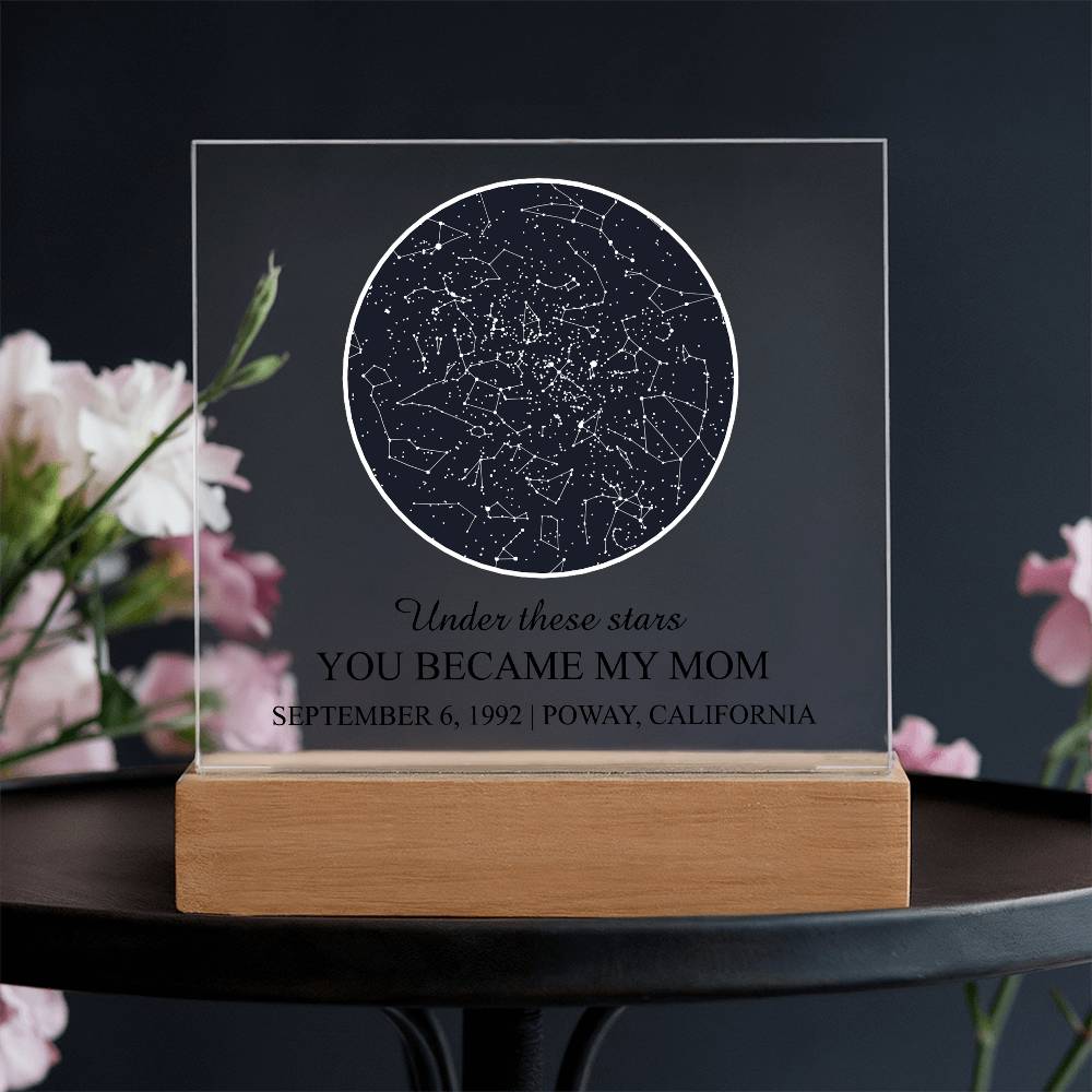 Ho_Plaque 2