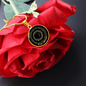 U_TNMoon