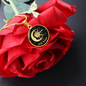 U_TNLover